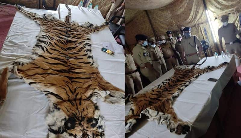 Telangana : Eturnagaram police arrest 2 tiger skin smugglers - bsb