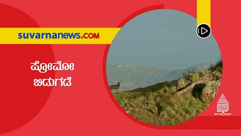 Namma Bandipur Launches Promo on International Tiger Day snr