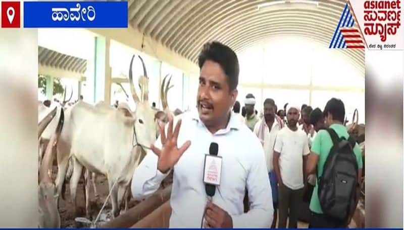 Flood hit Karnataka Haveri farmers sell bull to clear debts mah