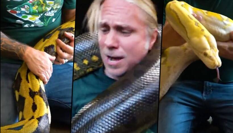Man feeds and plays with giant reptiles like his 'children'; watch viral video