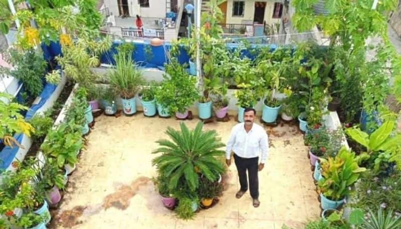 garden in terrace