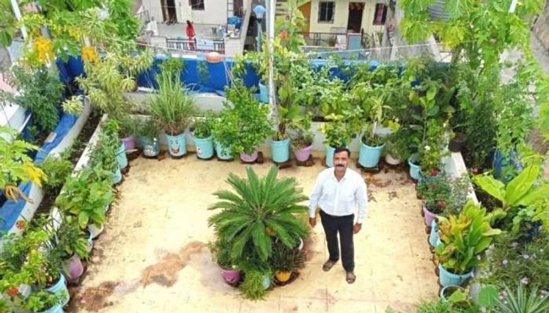 garden in terrace