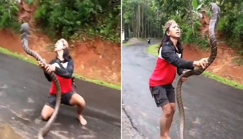 Watch Woman catches giant snake with bare hands; leaves netizens jaw-dropped-tgy