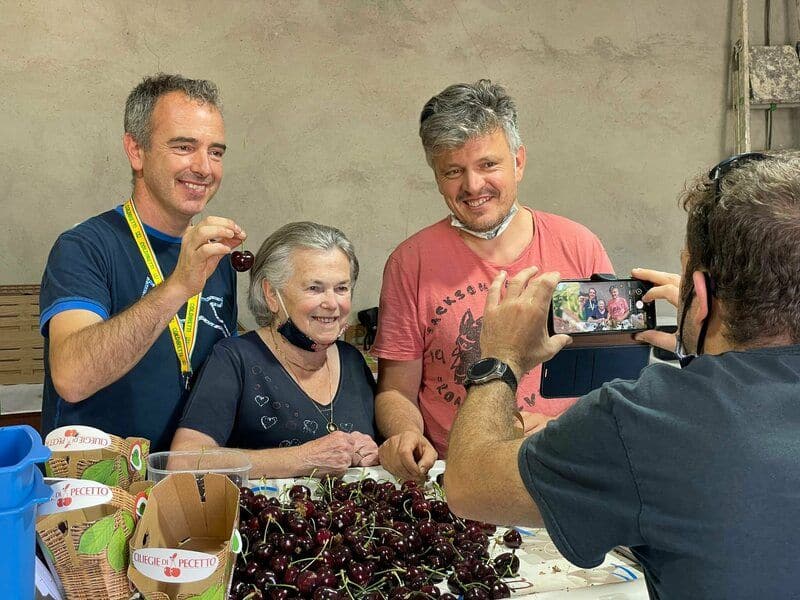 worlds biggest cherry in Italy