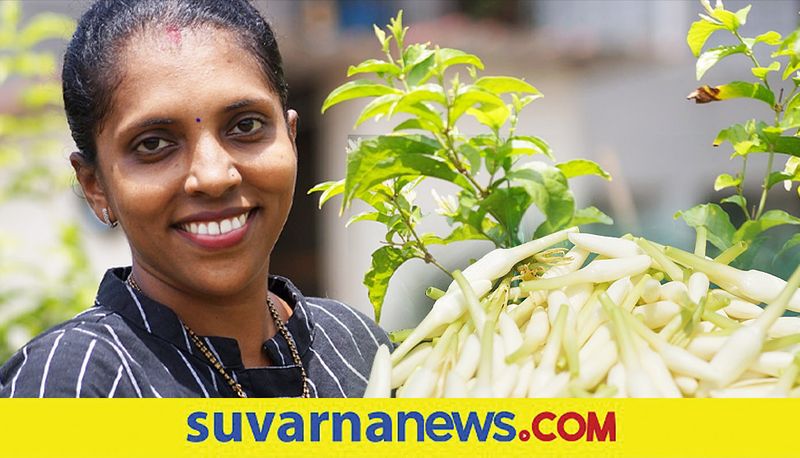 Mangalore woman grows jasmine on terrace  earns money in lockdown snr