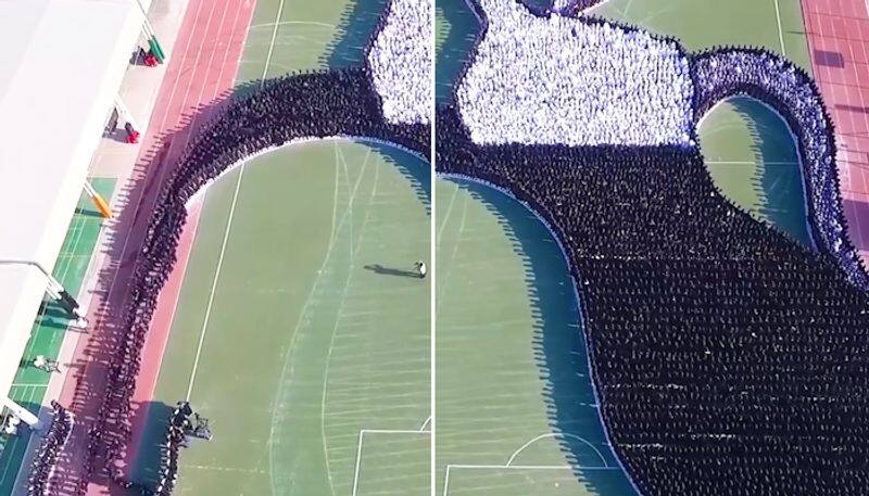 Video of largest transforming human image goes viral; Watch here-tgy