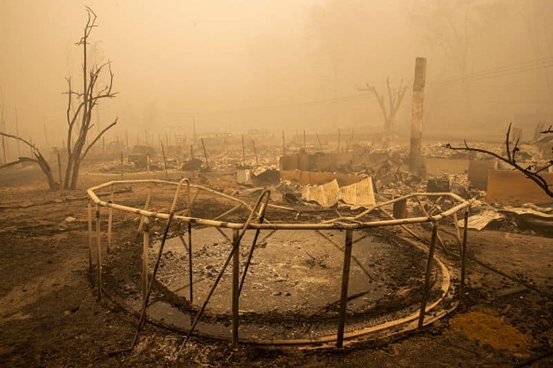 Giant sequoias  saved from california  wildfire