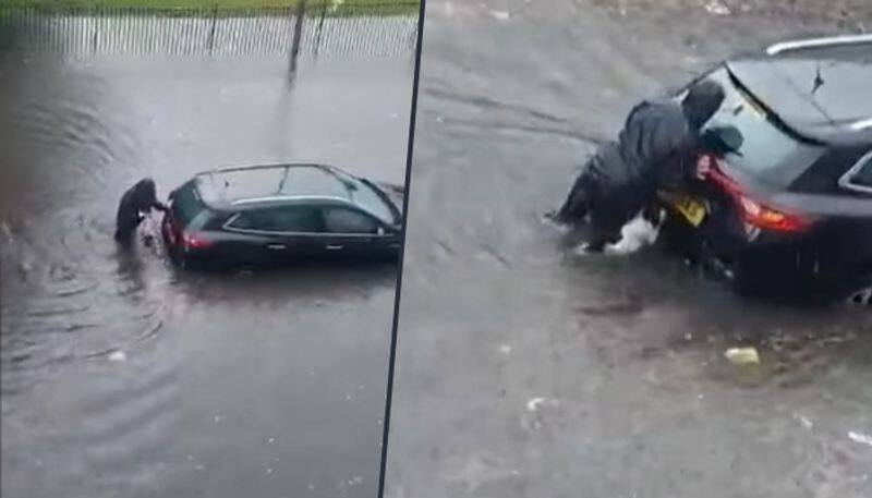 Watch how dog helps woman to start her car stuck in flooded road - gps