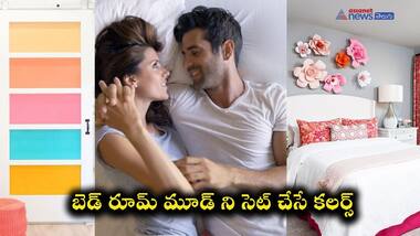 బెడ్ రూమ్ కోసం ప్రత్యేకమైన కలర్స్, ఈ కాంబినేషన్ గనుక వేస్తే...