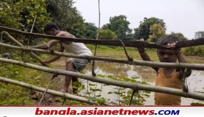 আত্মসমর্পণ করেও মেলেনি 'সরকারি চাকরি', পেটের জ্বালায় কোদাল ধরেছেন মাওবাদী লিঙ্কম্যান