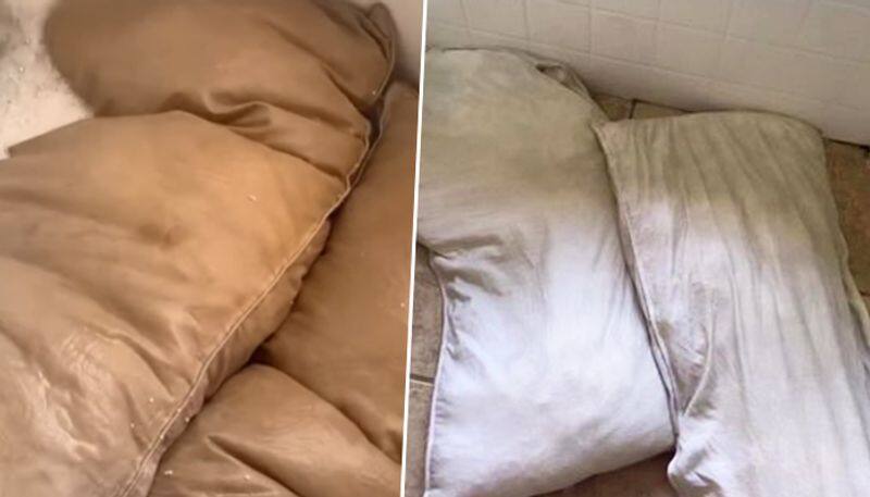 When wife cleans husband's favourite pillows; she got shocked to see this - gps