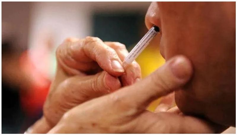 nasal decongestant covid vaccine experiment is success