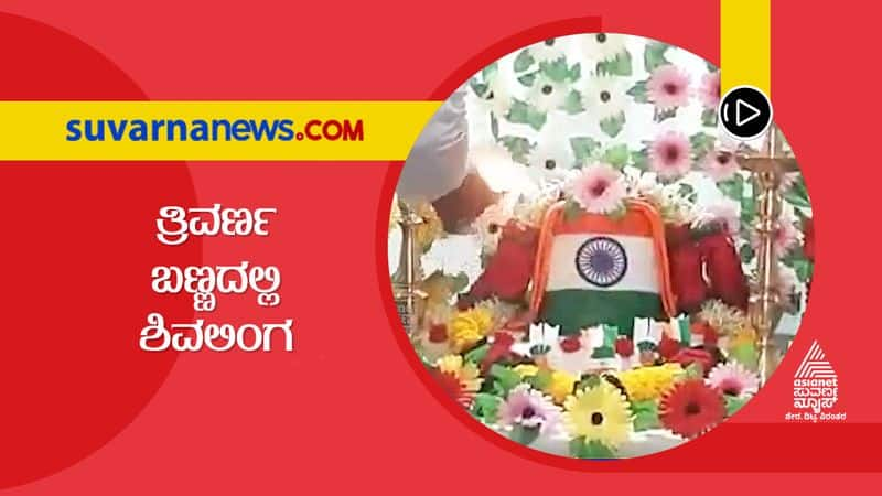 Shivalinga Gets Tricolor Decoration in Vijayapura Temple hls