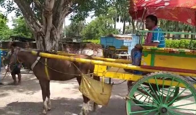 ধুঁকছে মুর্শিদাবাদের ঐতিহ্যবাহী টাঙ্গা, অপুষ্টিতে ভুগতে থাকা ঘোড়াগুলিকে বাঁচাতে পাশে বিজ্ঞান মঞ্চ