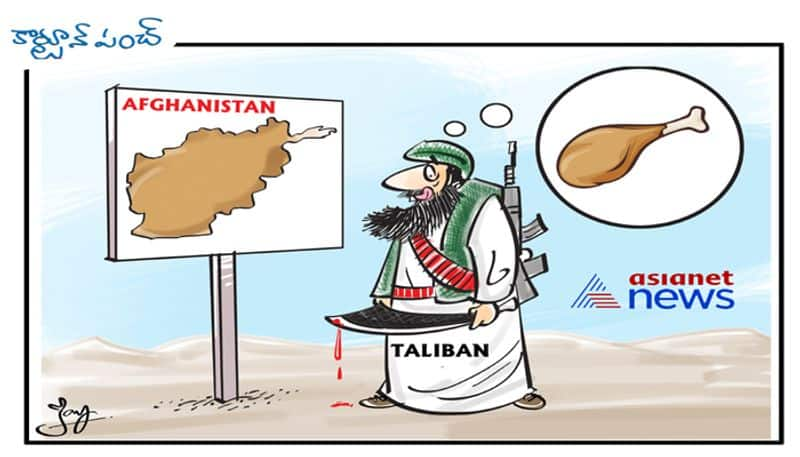 cartoon punch on Afghanistan issue