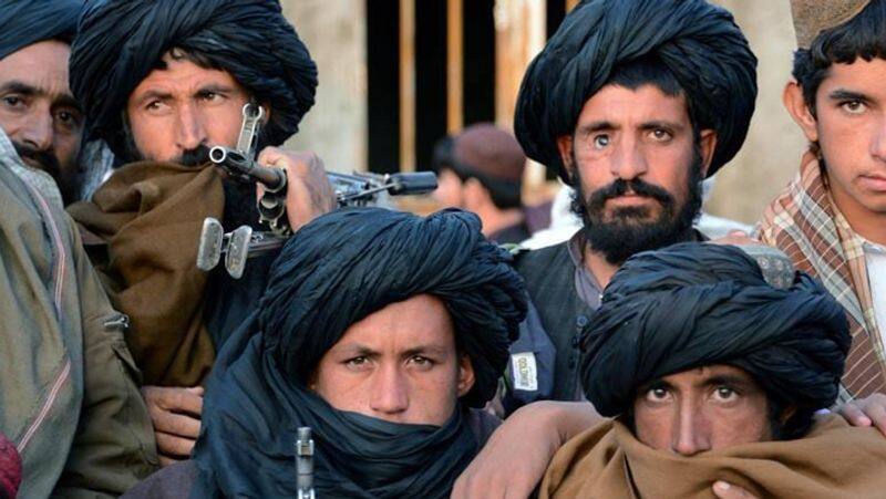 Afghan conflict: Official Taliban websites shut down; reason unclear-dnm