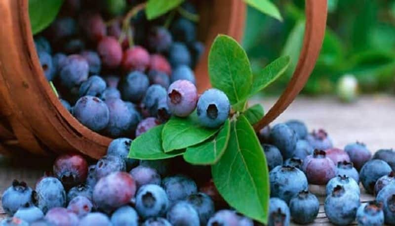 How acai berry prevents early signs of aging