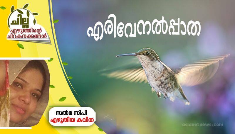 chilla malayalam poem by salma cp