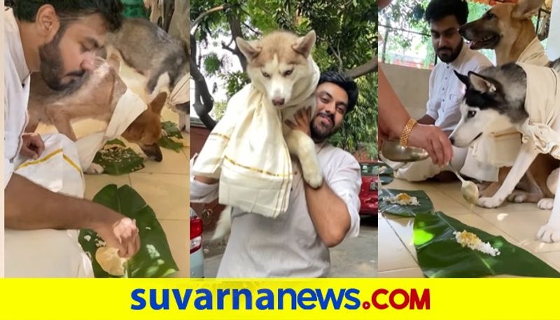 Man celebrates onam had his sadya with pet dogs video goes viral dpl