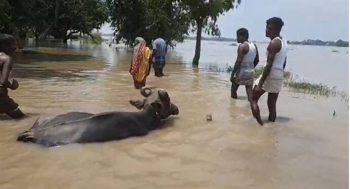 মালদহে বিজেপিকে ভোট দেওয়ায় মিলছে না ত্রাণ, জুটছে না খাবার, বিক্ষোভ স্থানীয়দের