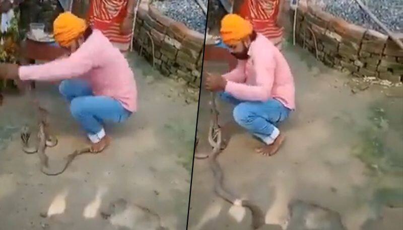 Man tries to tie rakhi to snakes on Raksha Bandhan, dies after it bites him; watch video - gps