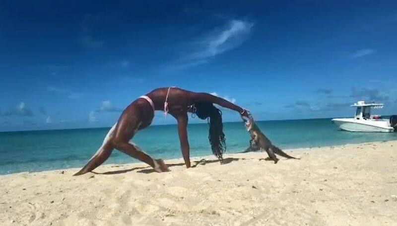 Bahamas woman performing yoga gets bitten by iguana; her reactions leave internet in splits-tgy