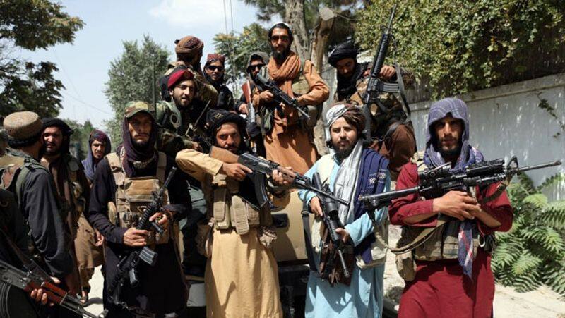 Pakistan is like 'second home'; ISIS has no presence in Afghanistan: Taliban spokesperson-dnm