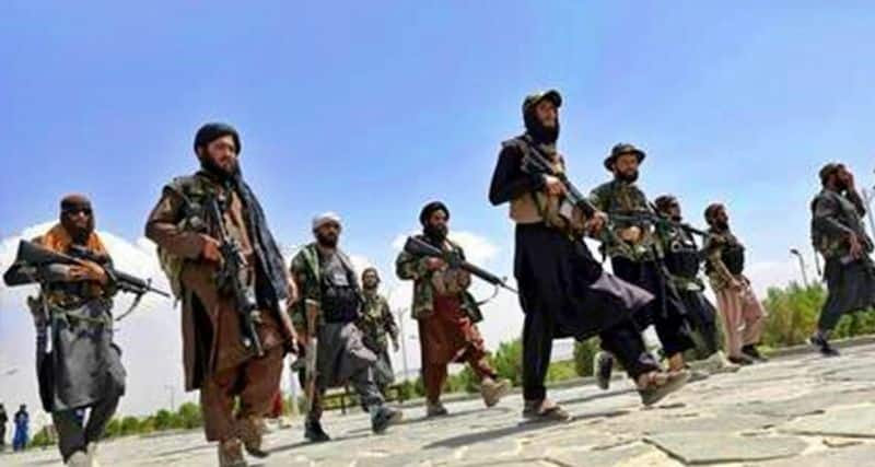 Religious leaders to lead Afghanistan government: Taliban-dnm