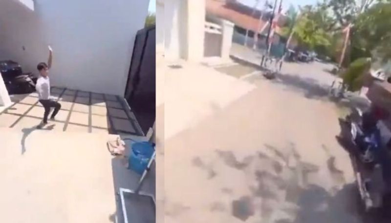 Parrot flies away with a phone in a viral video