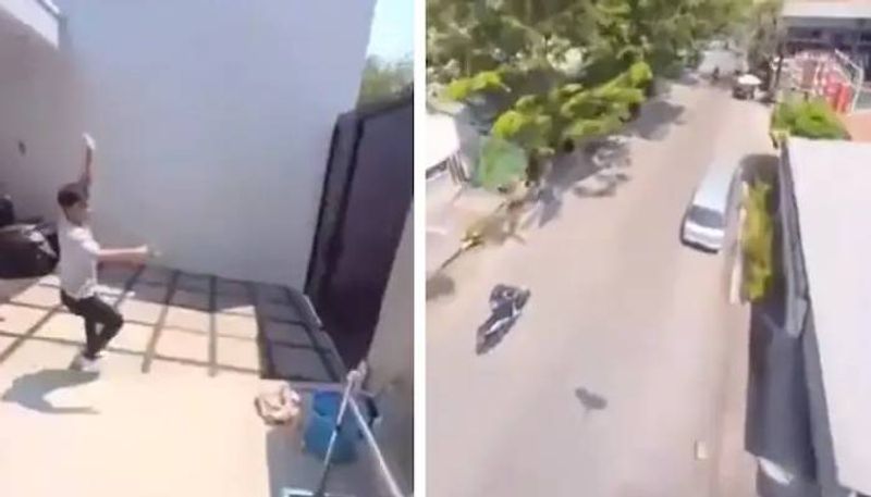 parrot flying with a phone viral video