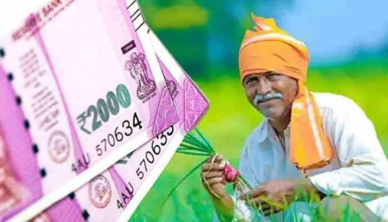 Union Budget 2023: Under PM Kisan in the budget, Rs. Opportunity to give 8000..Bumper gift to farmers