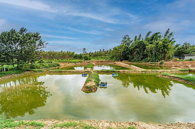 Youth earn lakhs Of income From Prawn Fishing in kolar snr