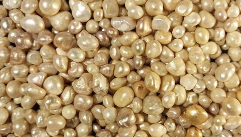 Pearl Treasure valued at over 100 Million US$ has been documented