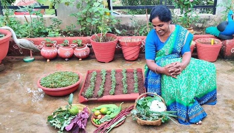 Darsha Sai Leela grow organic vegetables in her terrace