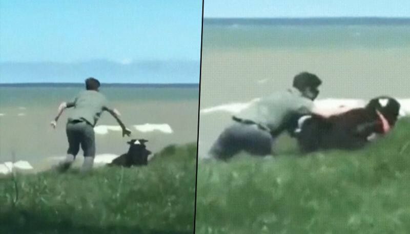 Check out how a man saves his pet dog from rolling off the cliff; video goes viral - gps