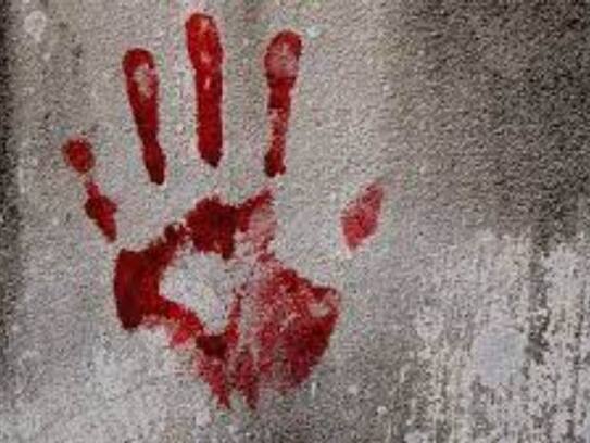 swiggy delivery boy did not kill greater noida restaurant owner clarifies delhi police