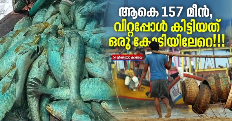 fisherman sells 157 Ghol fish for Rs1.33 crore