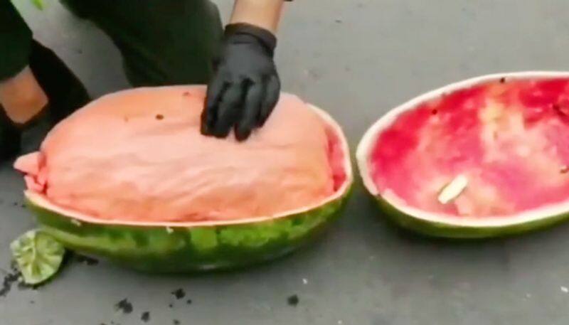 Traffickers using watermelons to transport drugs leaves netizens shocked; watch the video-tgy