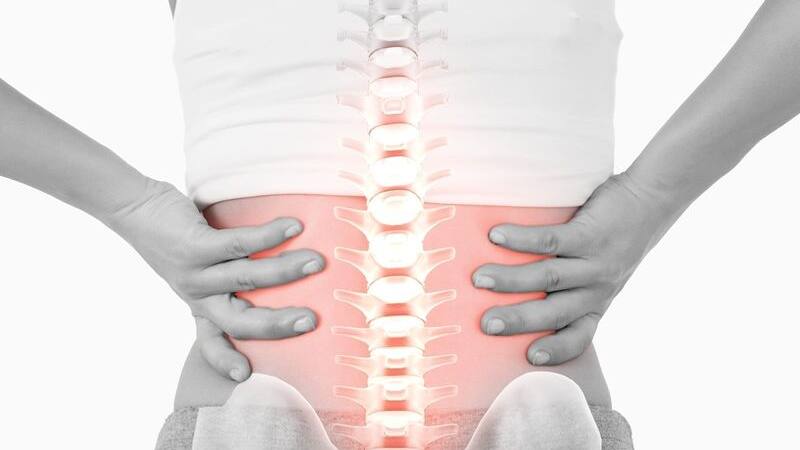 spine