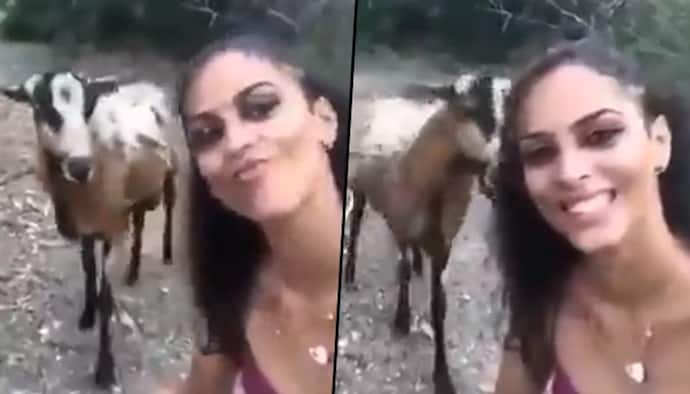 Woman attempts to take selfie with goat; find out what happens next