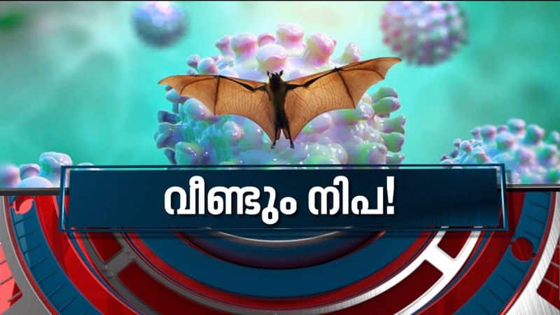 12-year-old dies of Nipah in Kerala