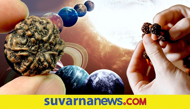 This rudraksha is help to prevent the evil influence of the planets