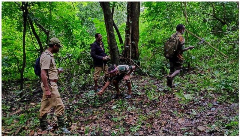 Gudalur tiger search