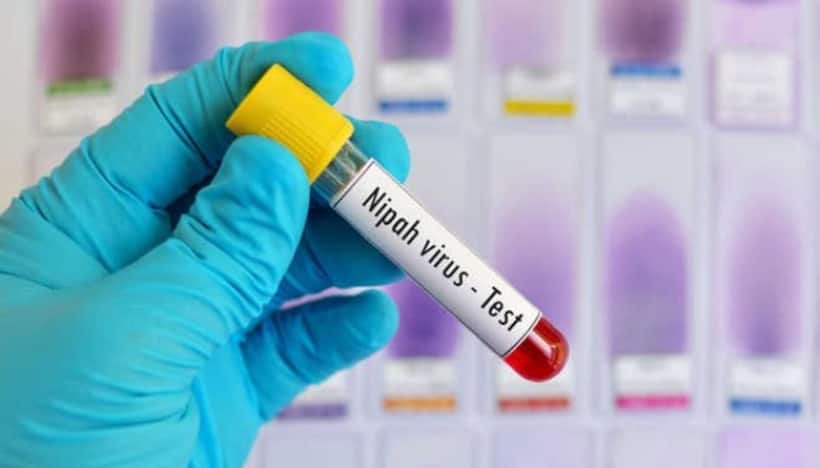 Big relief to Karnataka: Suspected Nipah virus tests negative