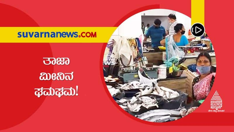 Udupi Fish Rates Dip Brings Smile in Fish eaters Face hls