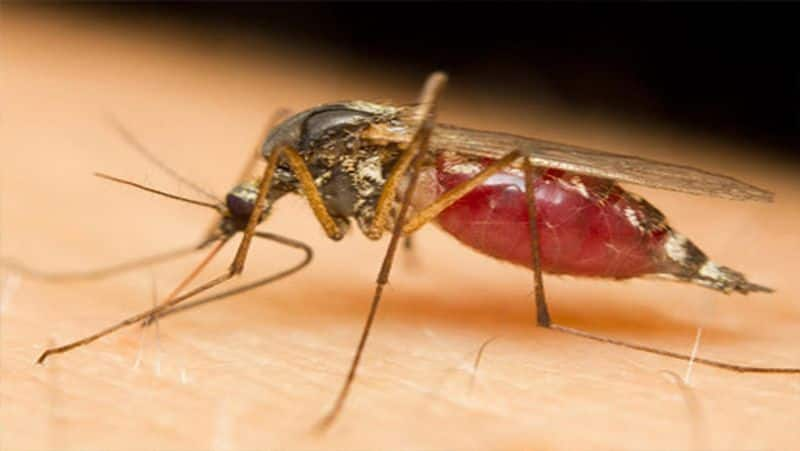 13 Year Old Girl Dies due to Dengue Fever in Davanagere grg