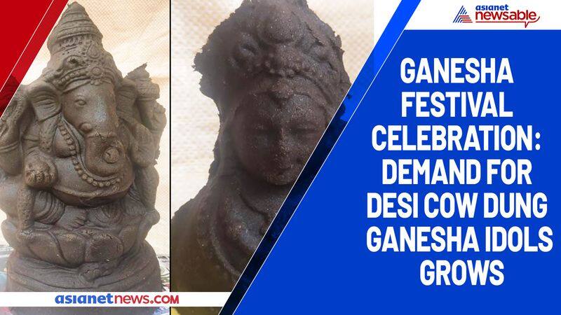 Ganesha festival celebration: Demand for desi cow dung Ganesha idols grows-ycb