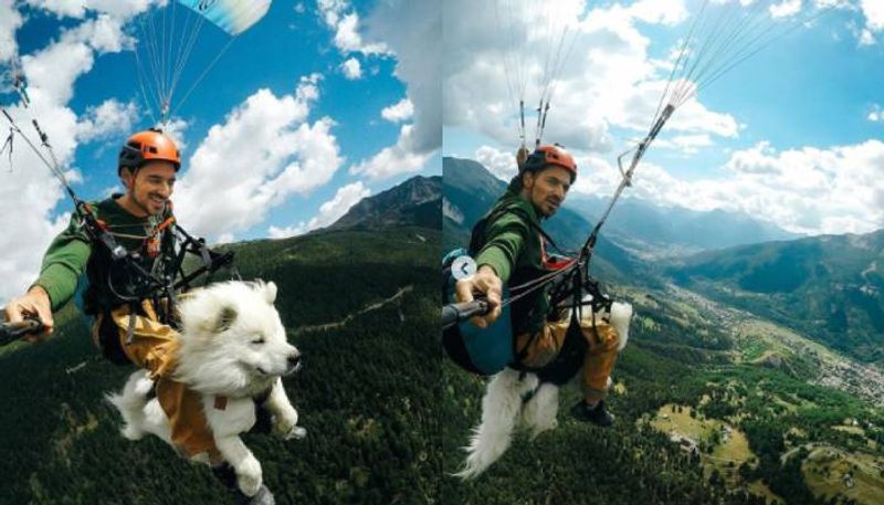 dog paragliding with owner viral video