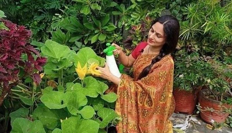 mini forest with 700 plants rashmi shukla's terrace garden