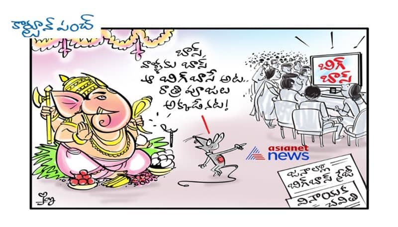 cartoon punch on Ganesh festival-Big boss crazy